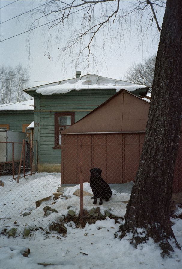 Без названия