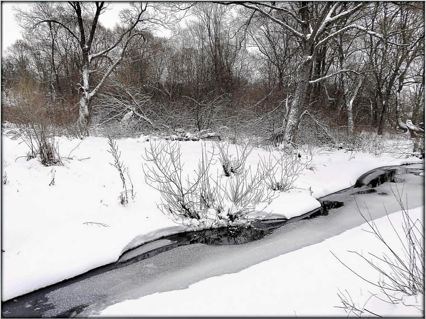 Сухая Орлица