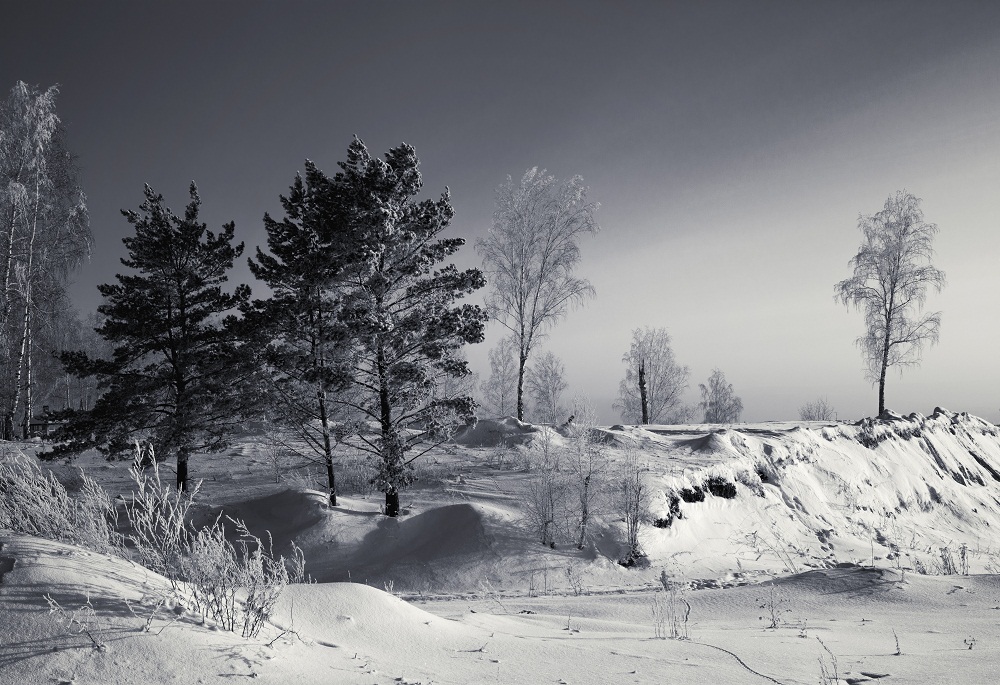 Морозным днем.