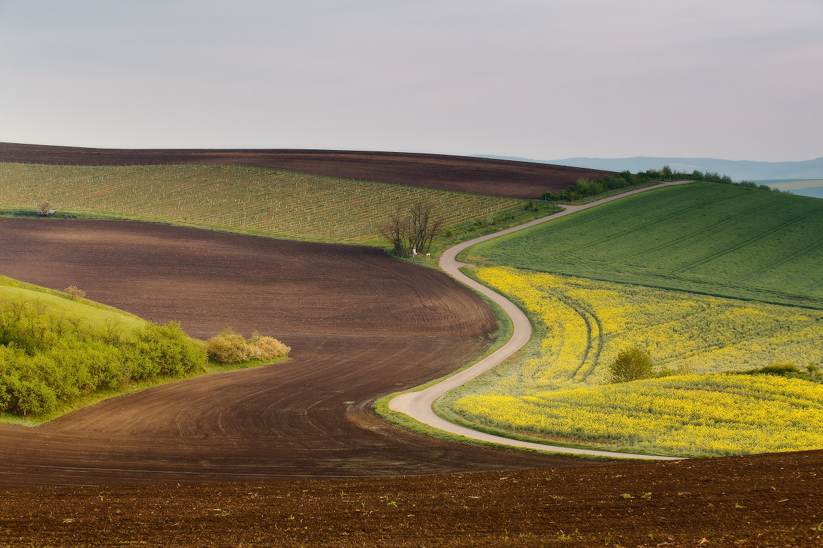 Дороги Моравии