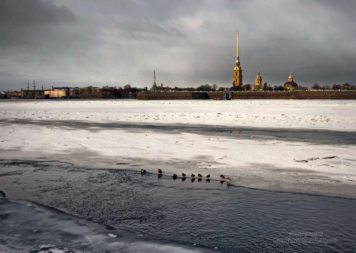 Полынья на Неве
