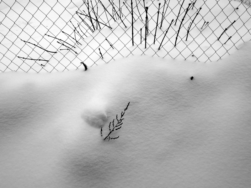 Дежавю, или только кажется