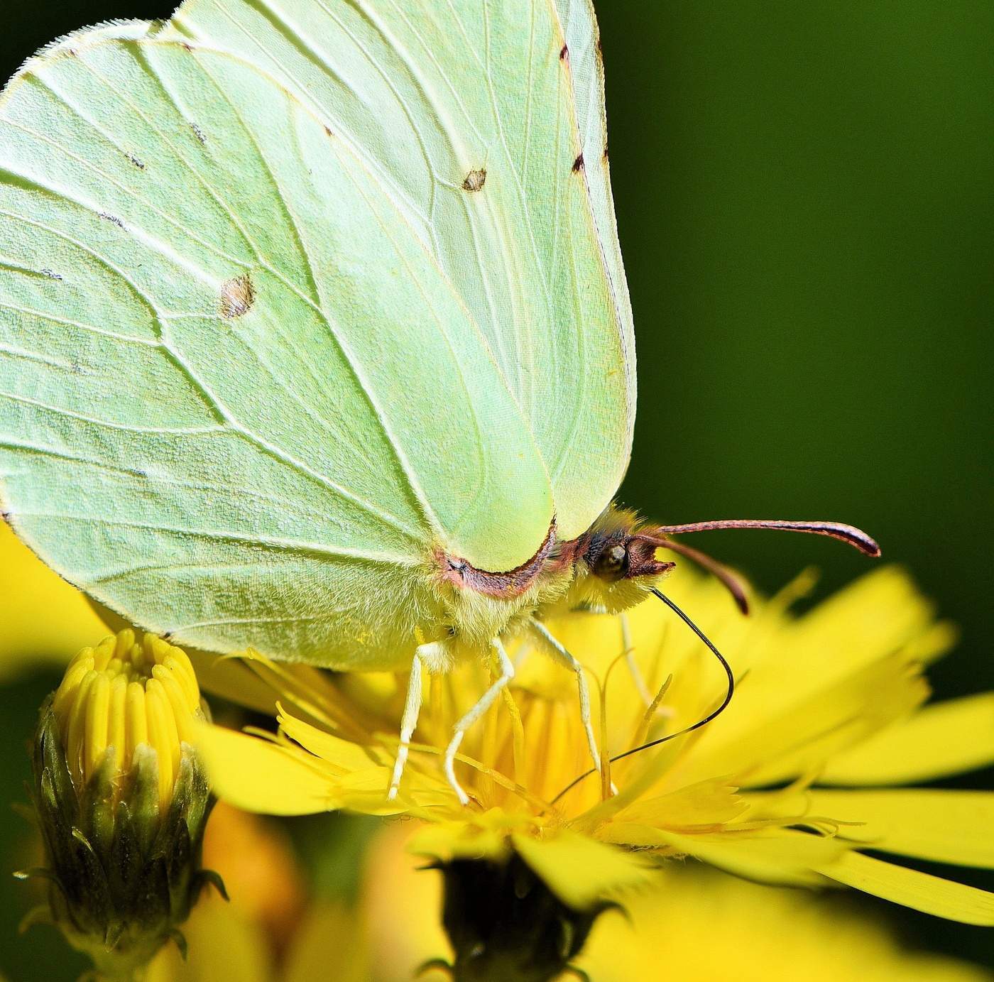 "Ты прав ... Я так мила ..."