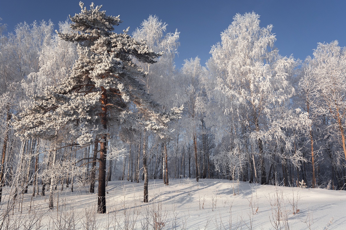 Зимняя прелесть!