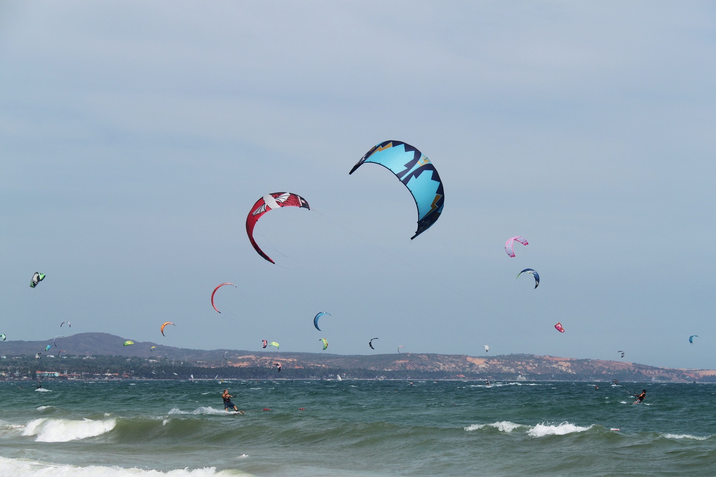 Птицы над морем