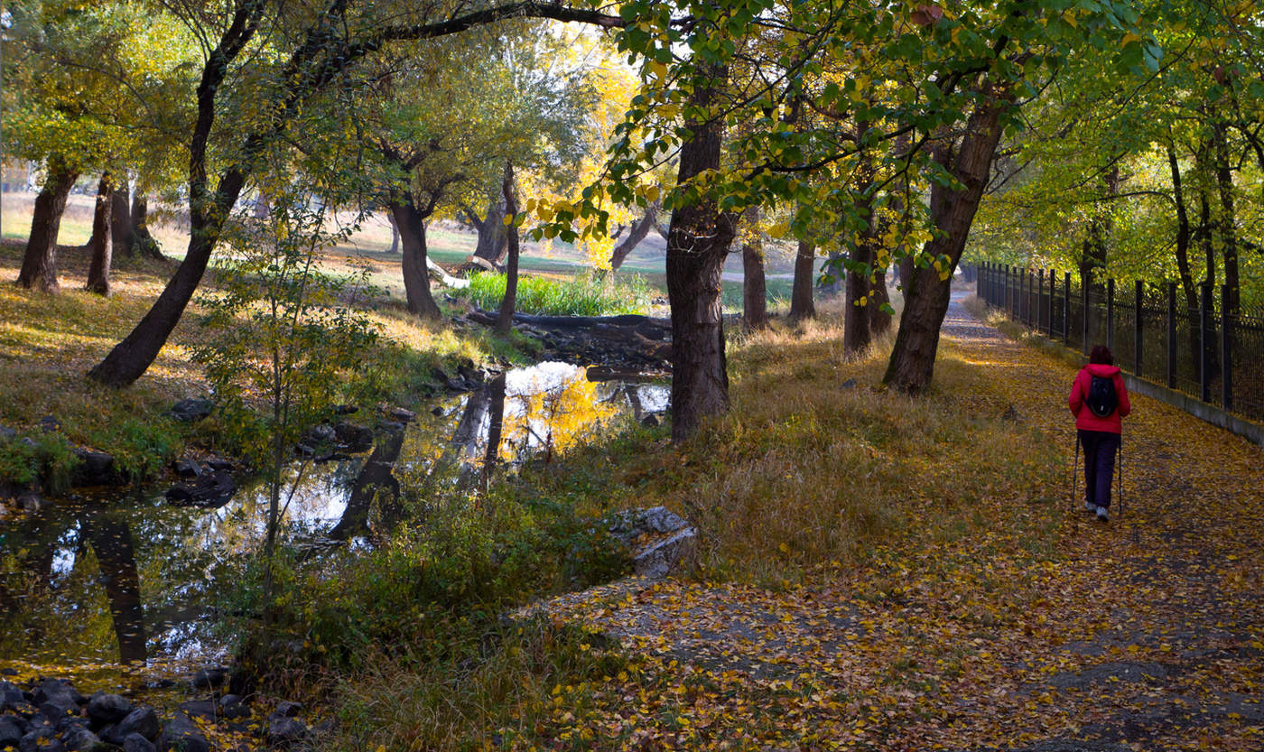 Запах осени.