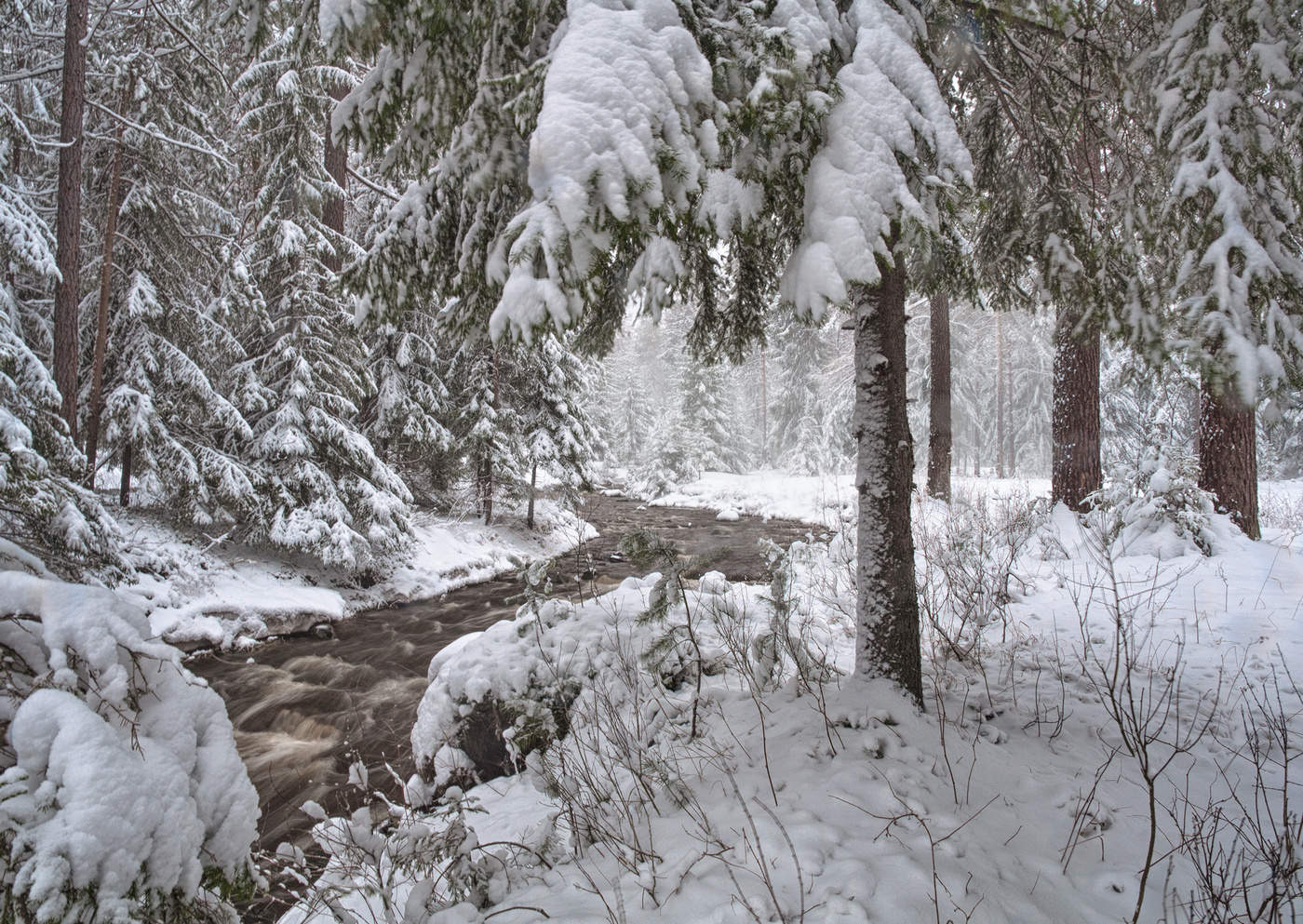 Зимняя речка