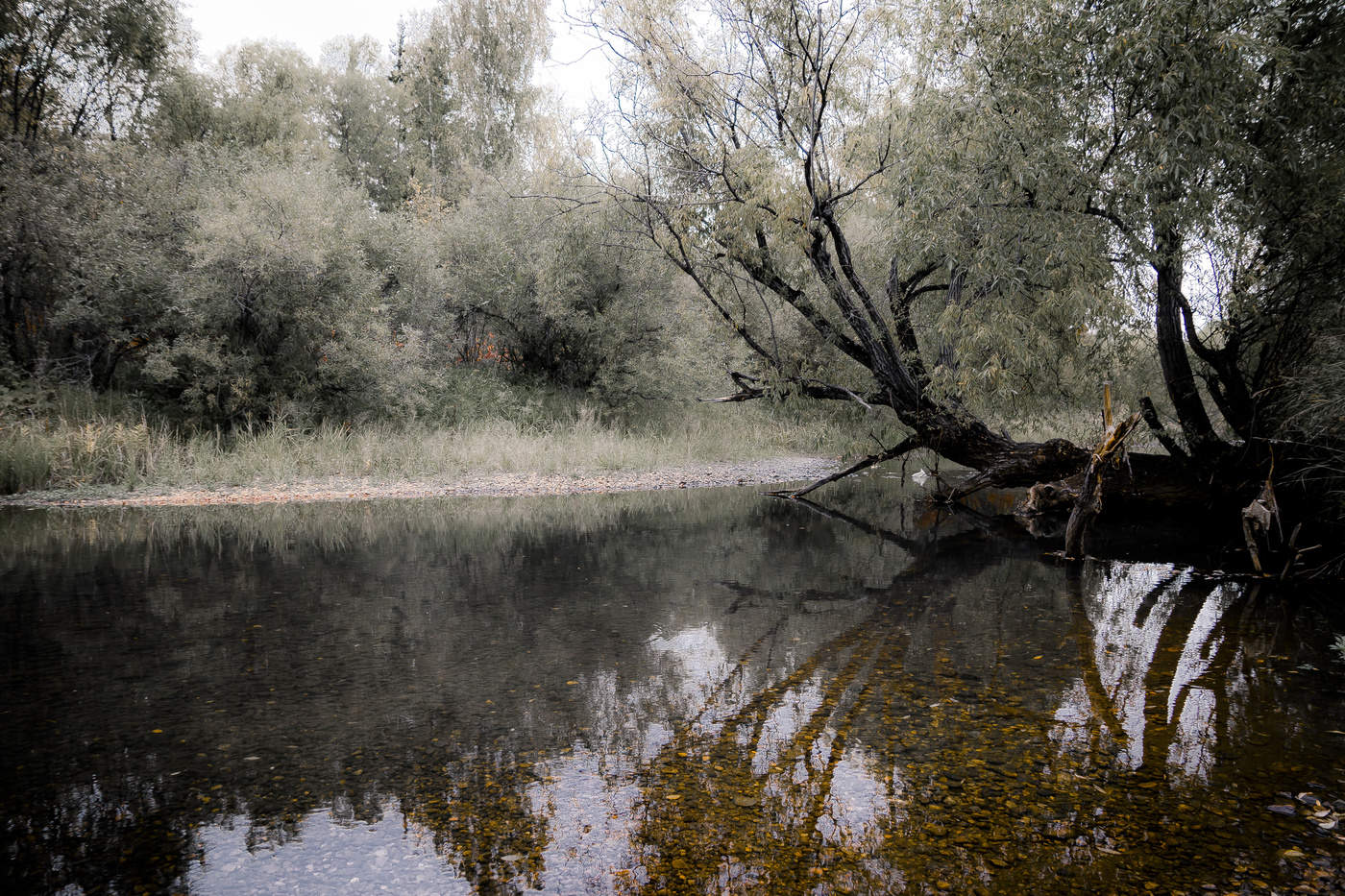 Седая осень