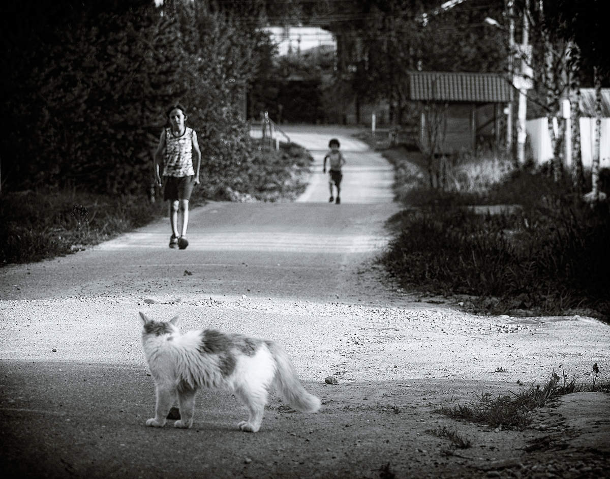 Врёшь, не возьмёшь...