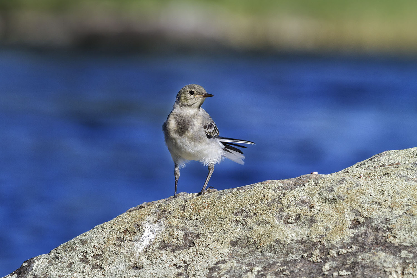 Не самый важный момент