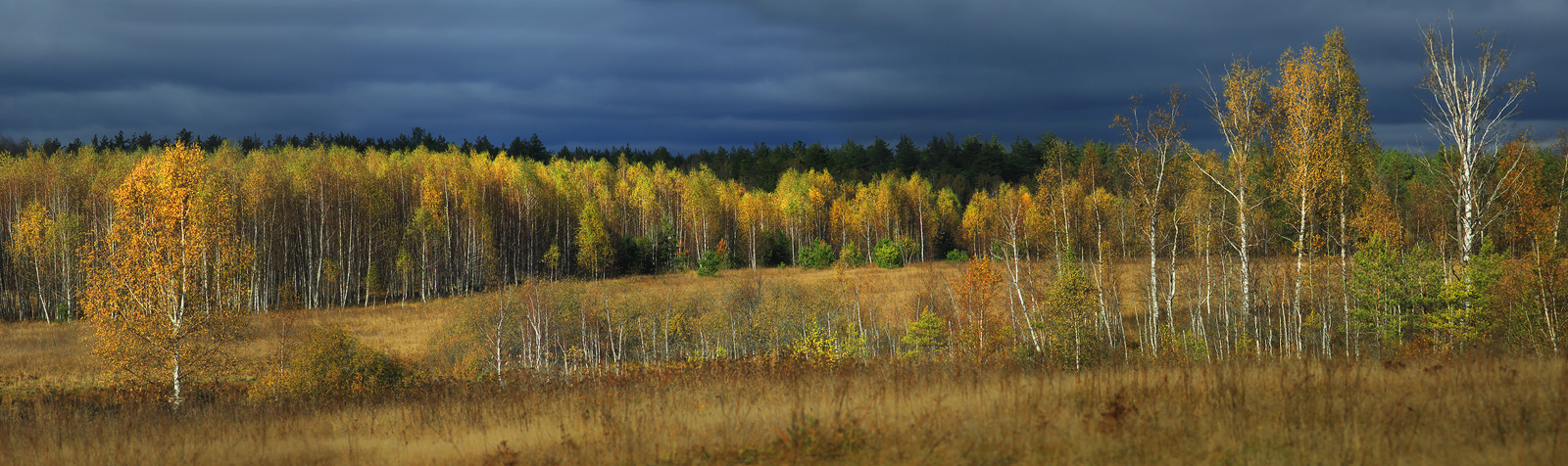 Осень . Мочалище