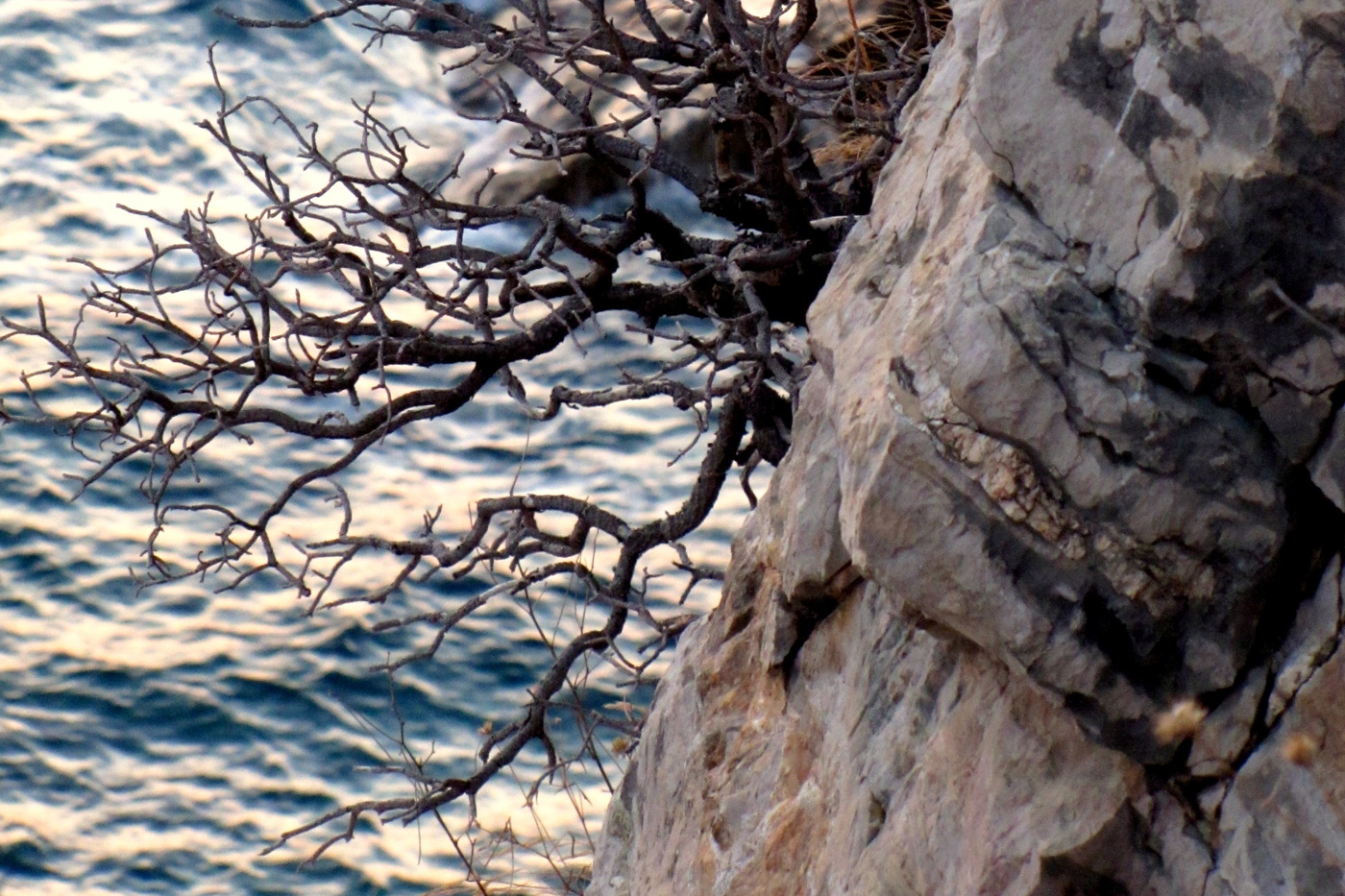 Не самый важный момент