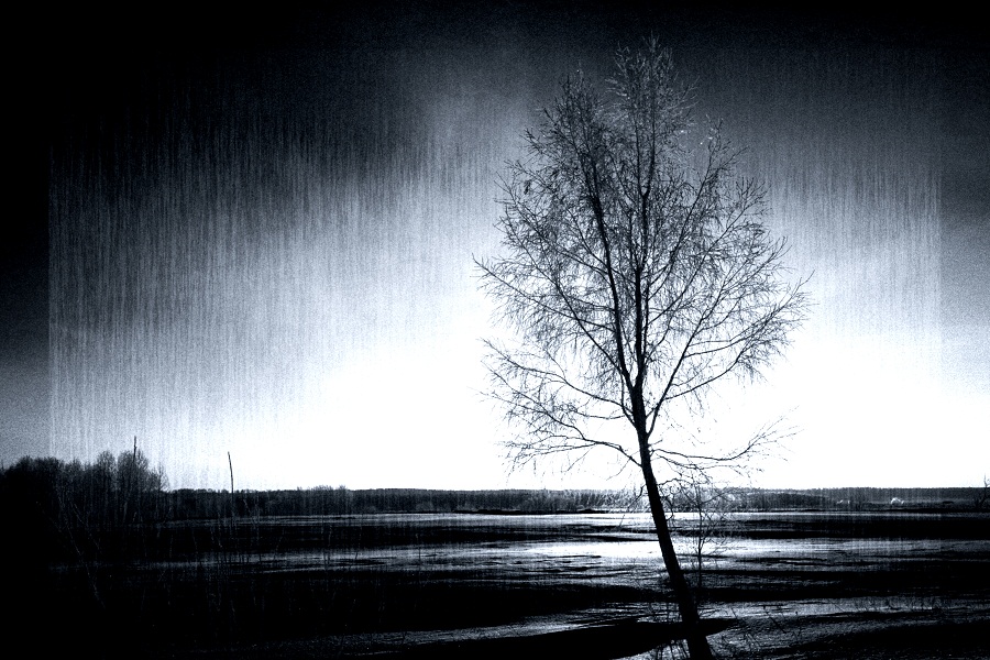 Лишь тебя вижу я...