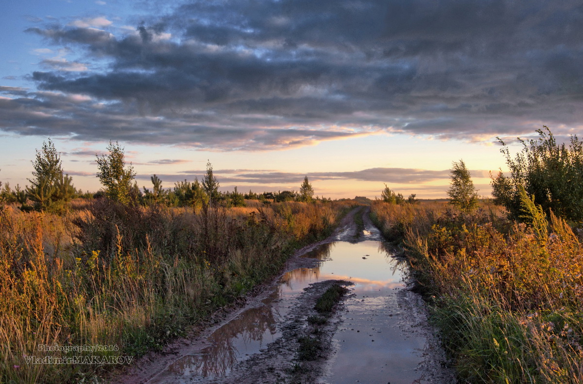К вечеру распогодилось
