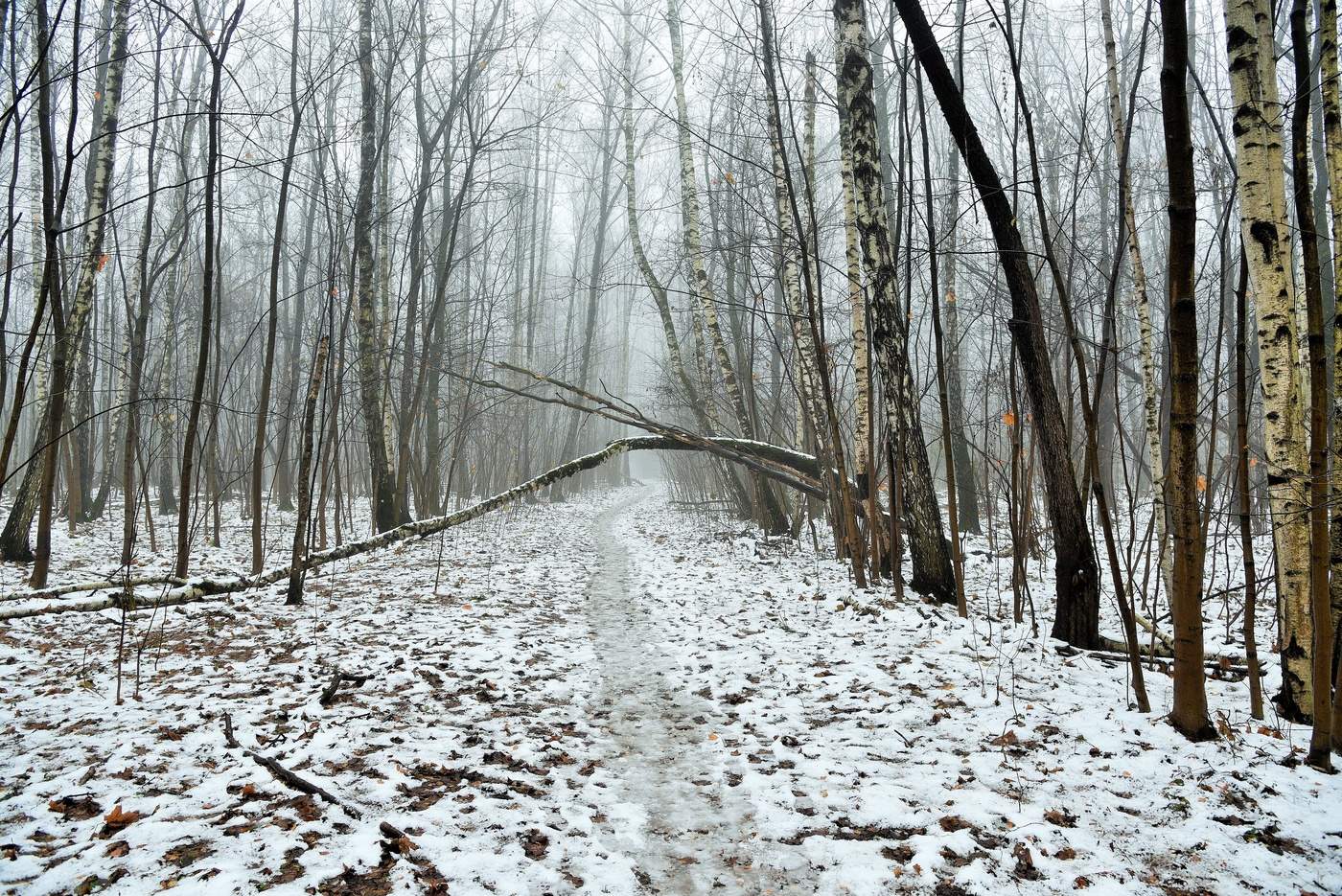 Тропинка в соседнюю деревню ...