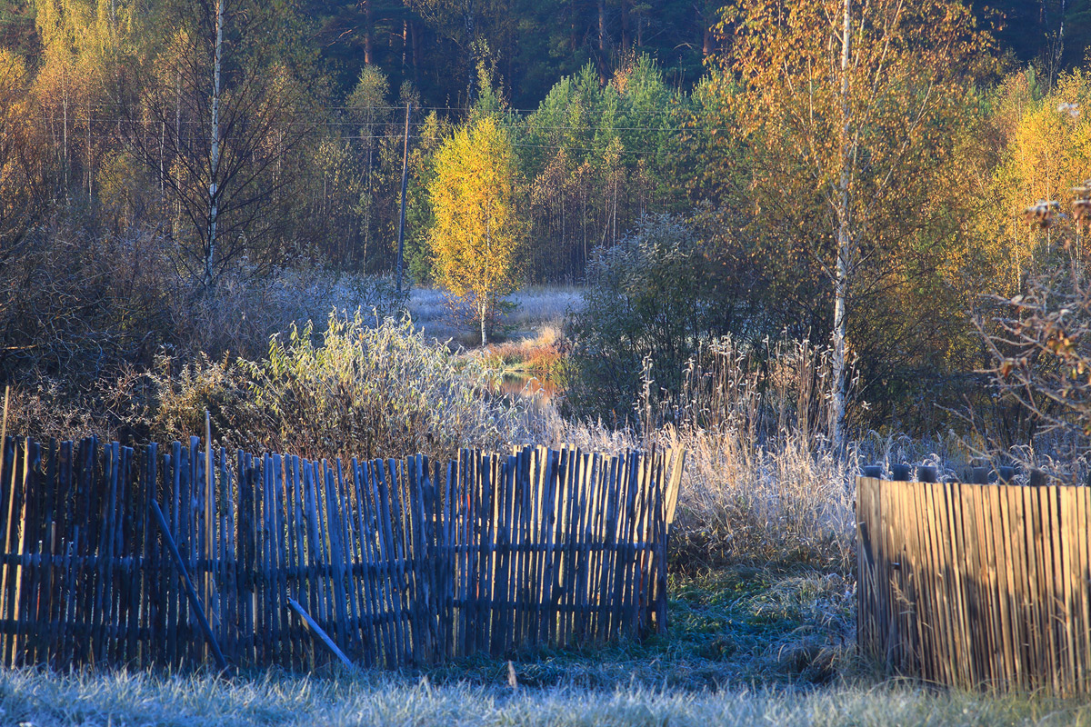 Осенняя палитра
