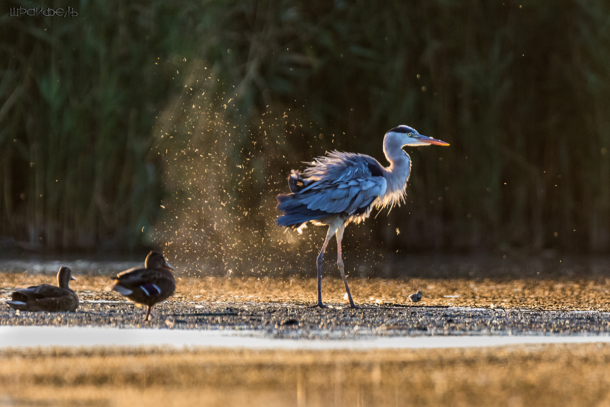 Генеральная уборка