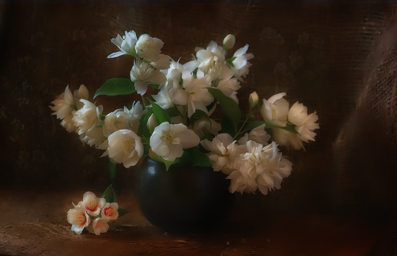 Жасминовое настроение.