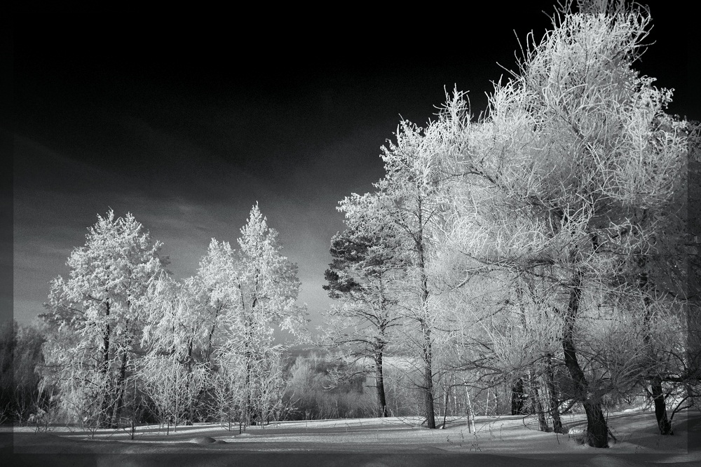 Отпусти меня...