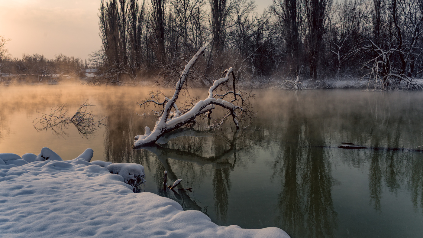 Падал последний снег
