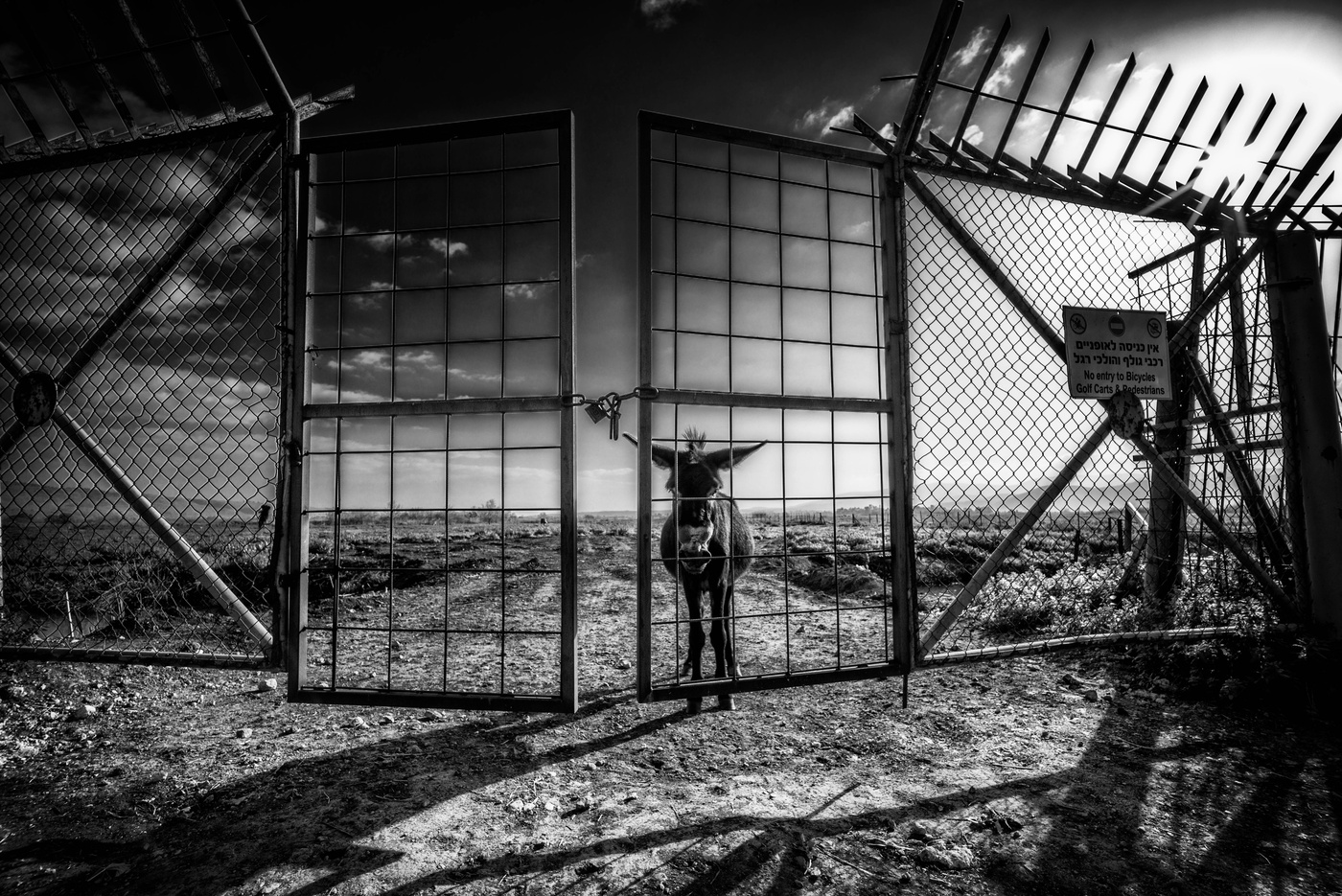 Ворота в рай