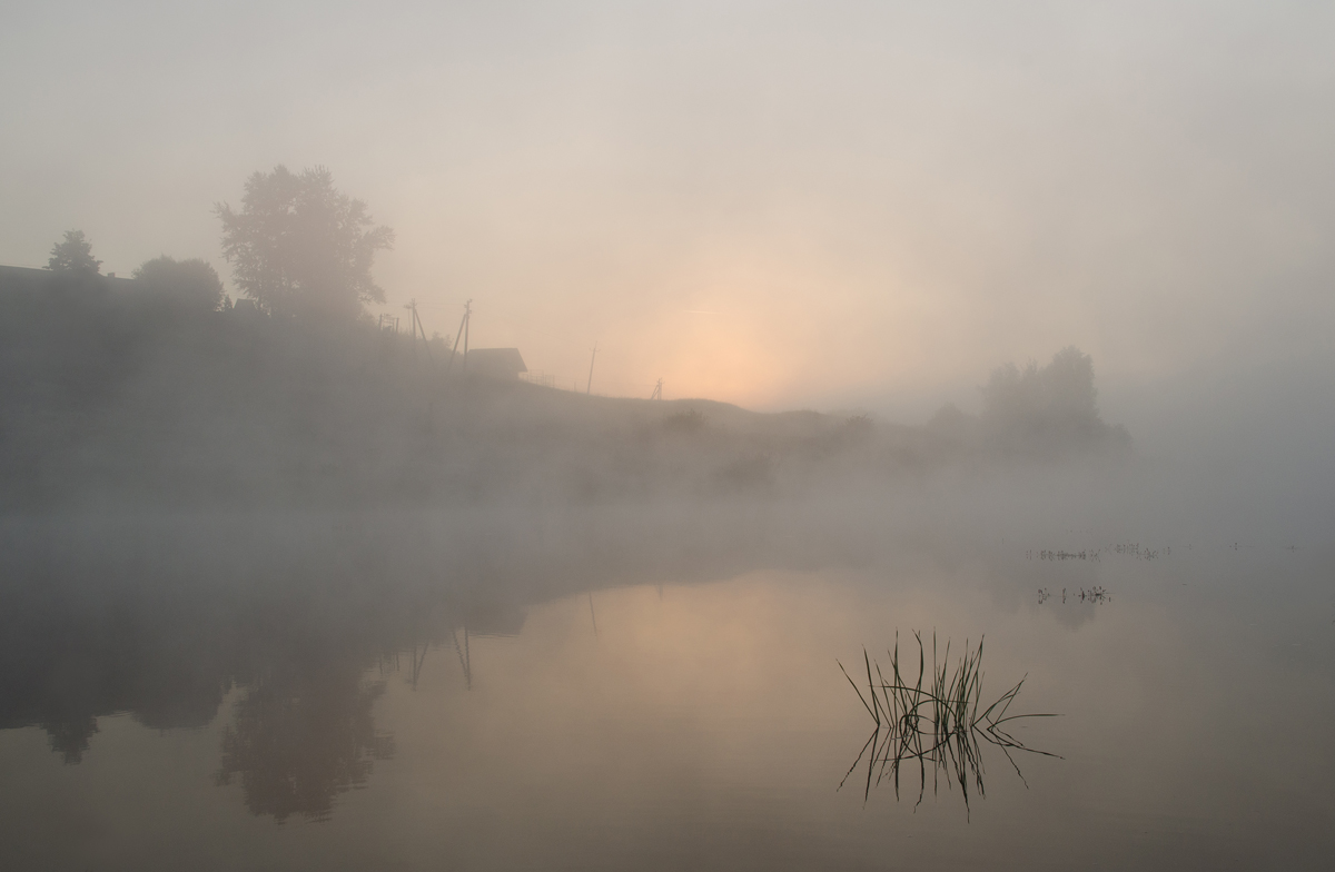 Там, за белёсой пеленой
