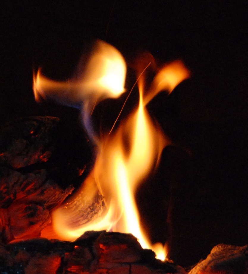 "Скрипач".....