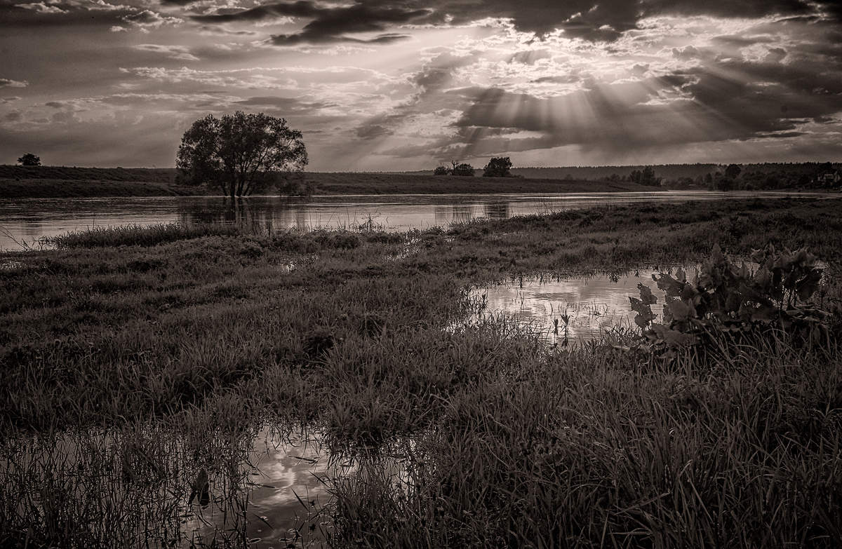 Разлив на Москва-реке