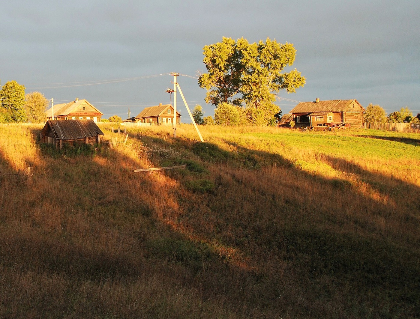Осень-рыжая кобыла-чешет гриву...