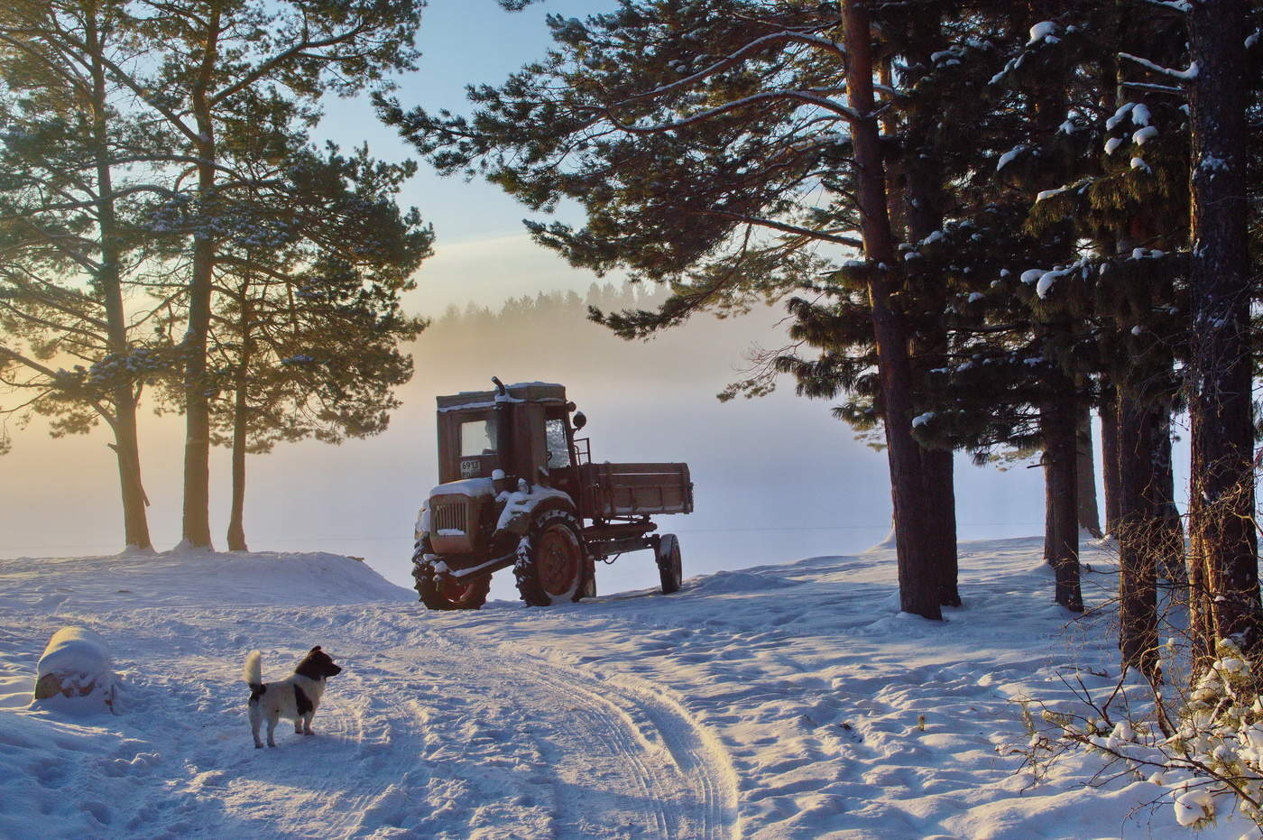 Мороз и солнце день чудесный
