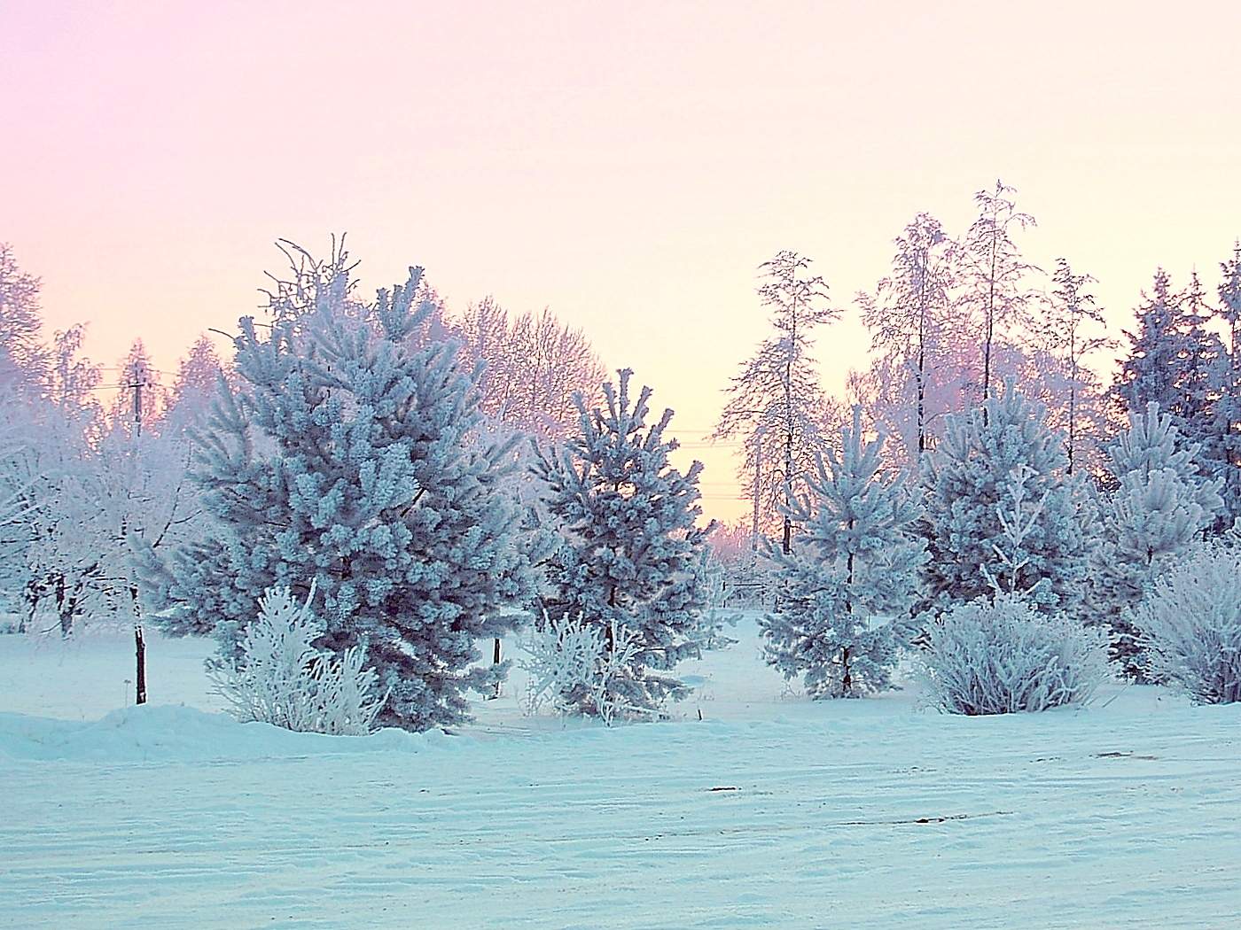 Мороз и солнце день чудесный