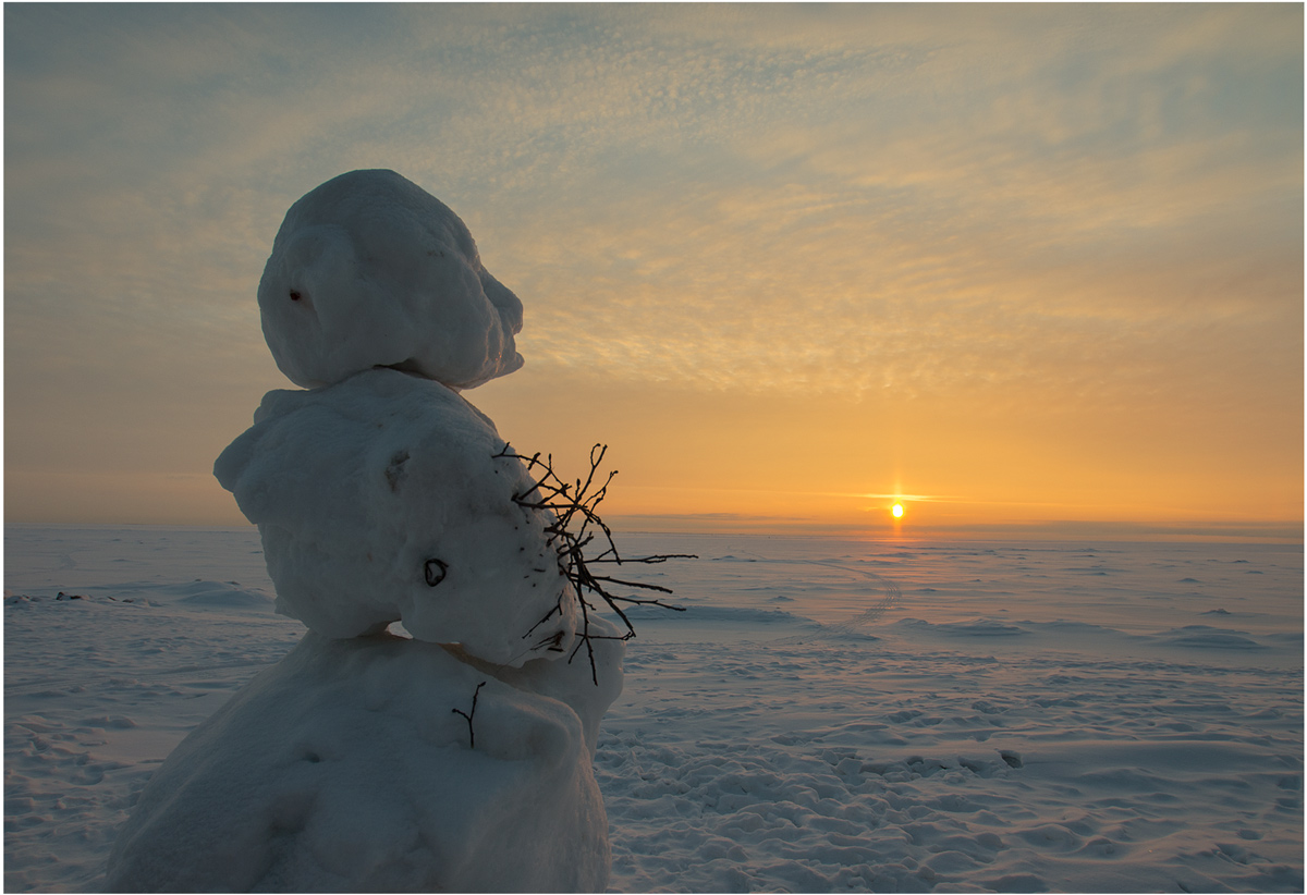 мороз и солнце день чудесный