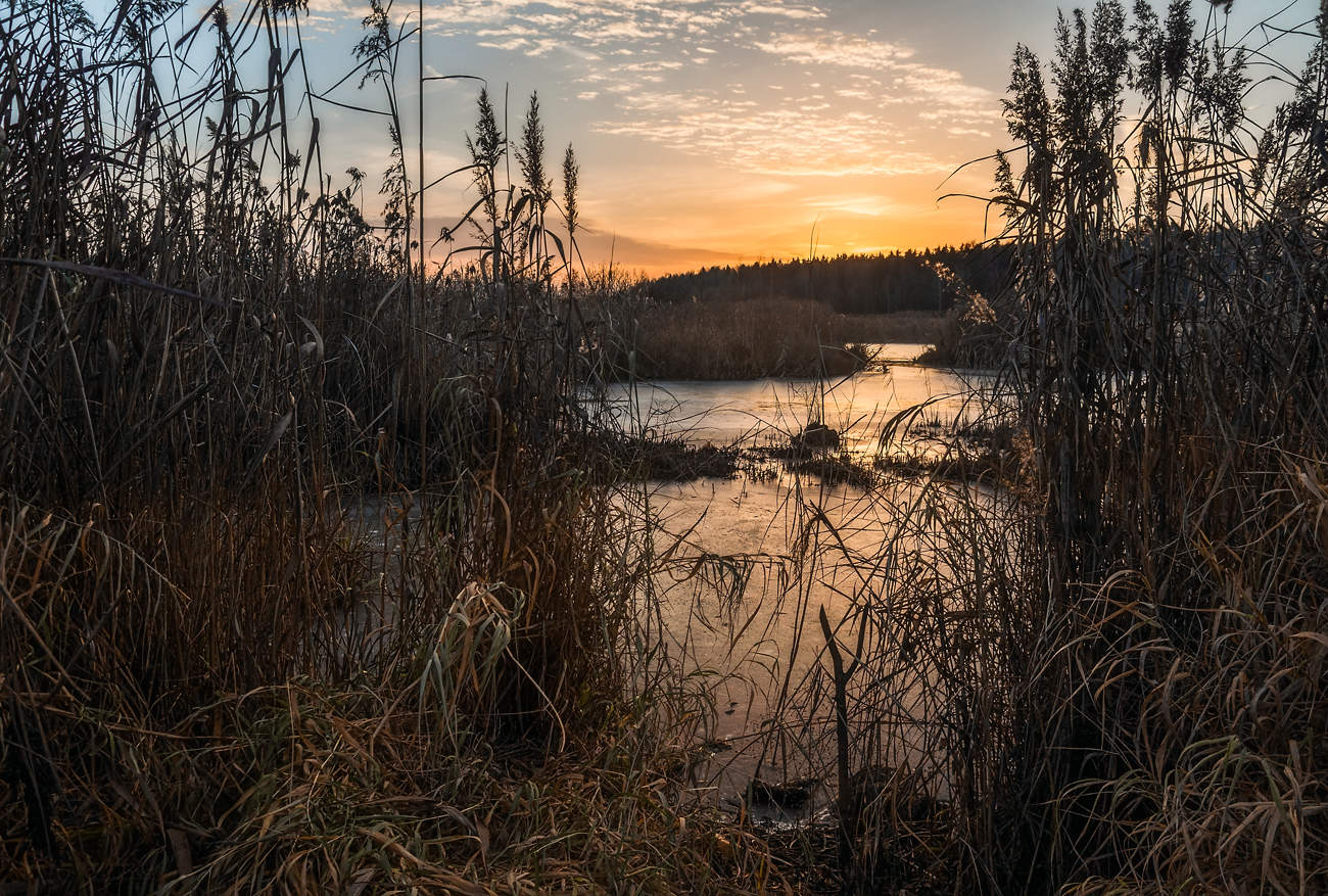 Летней рыбалке конец....