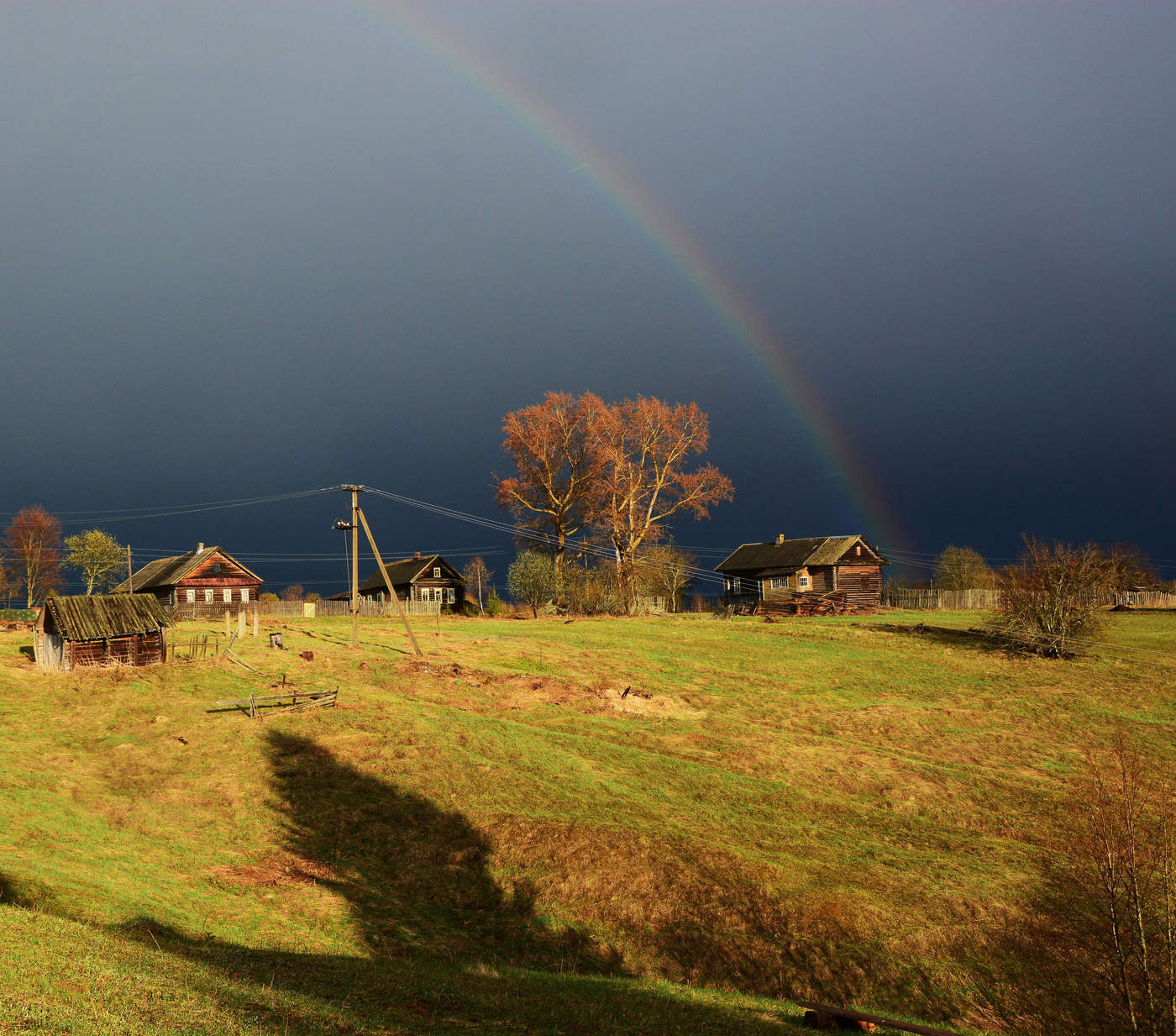 Проплясал, проплакал дождь весенний...