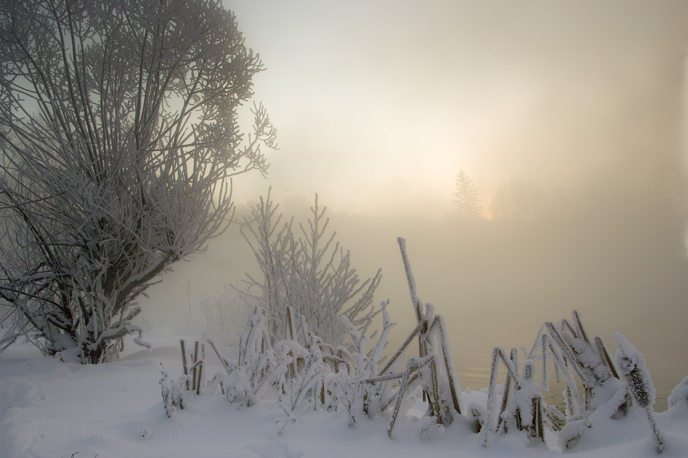 Рассвет,туман,иней..