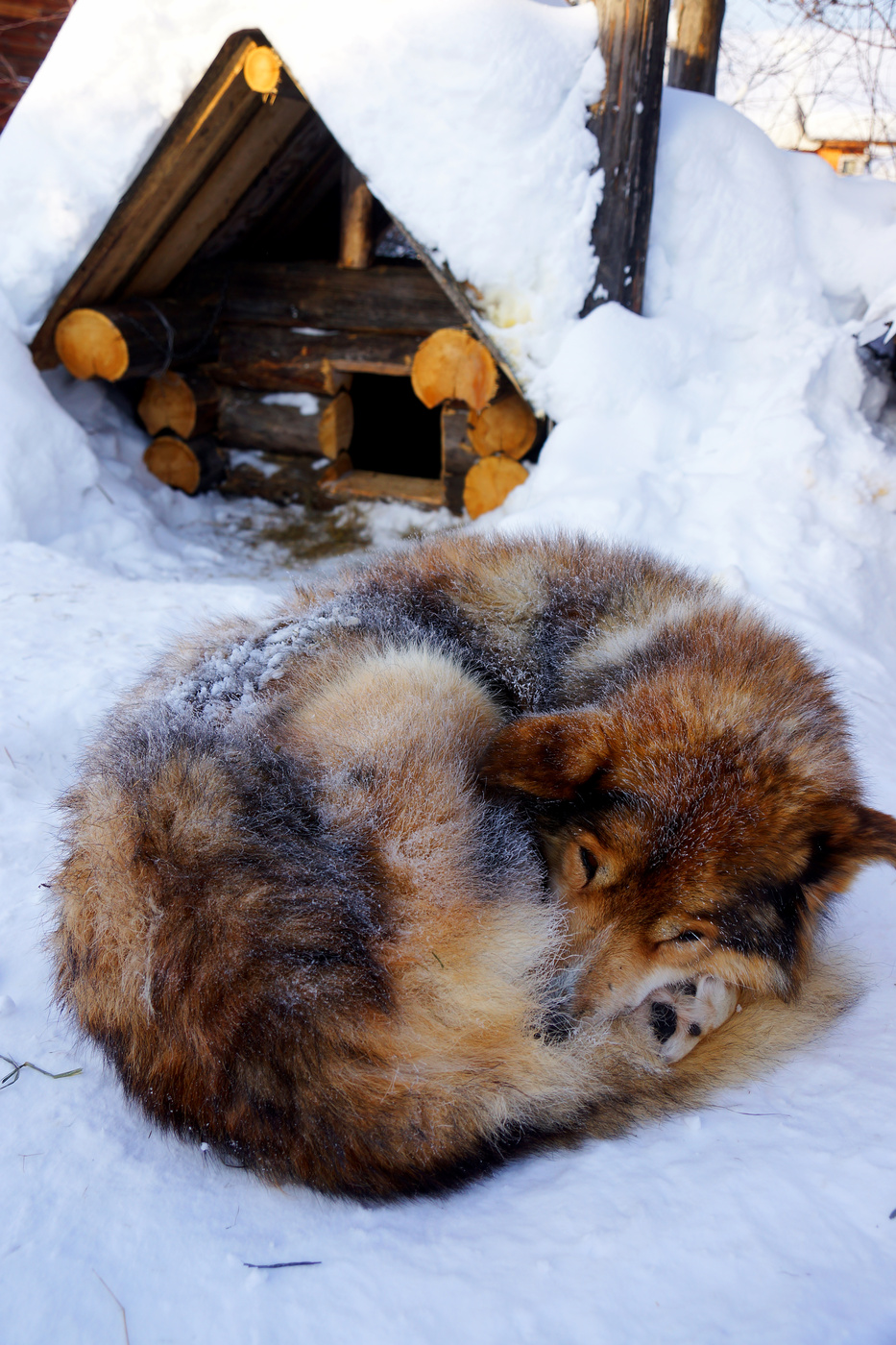 Забыли про вход