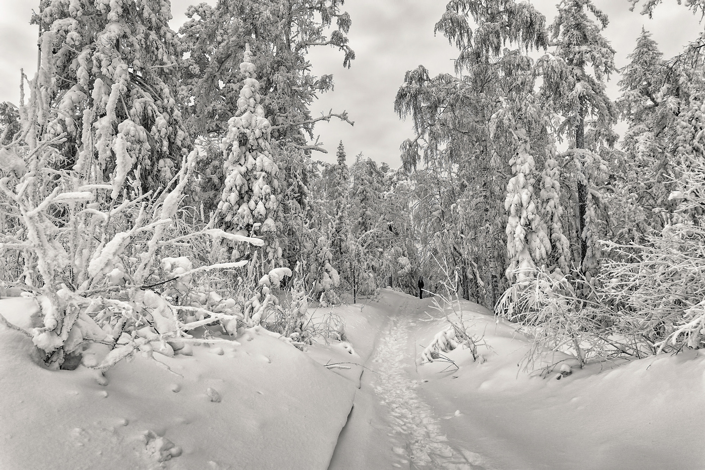 Путь в сказку