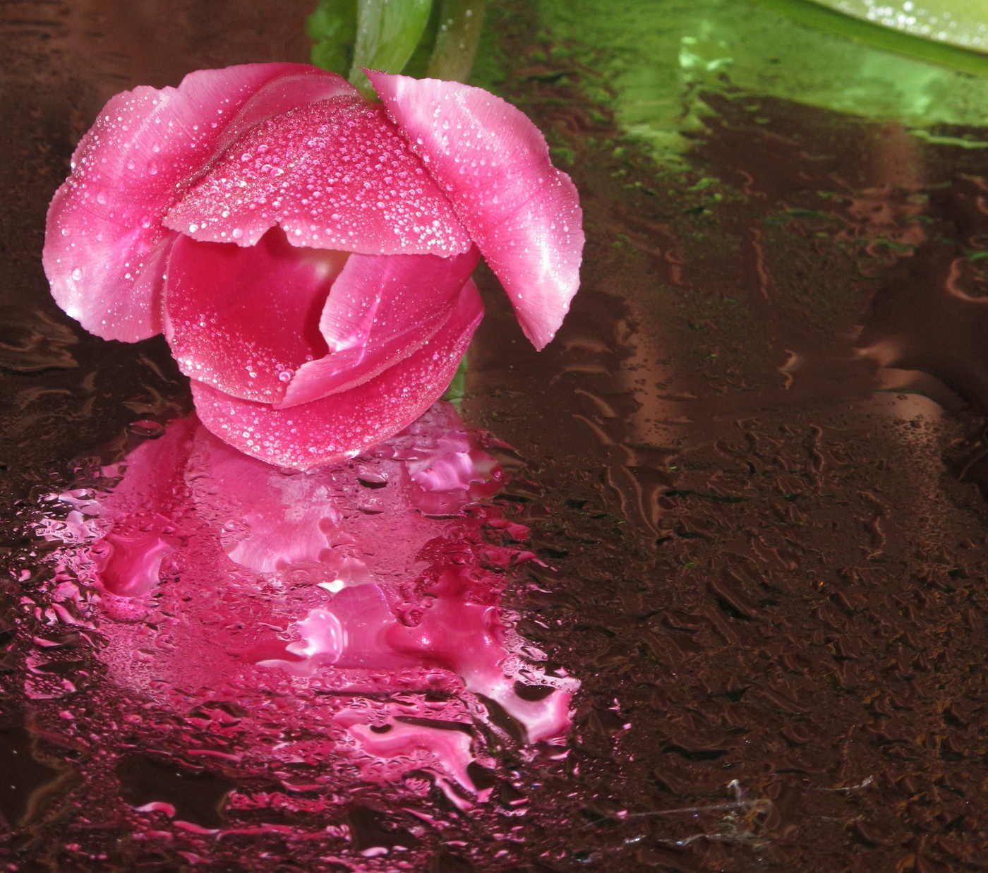 И перламутр цветов ранимых, прохладой чистою богат…