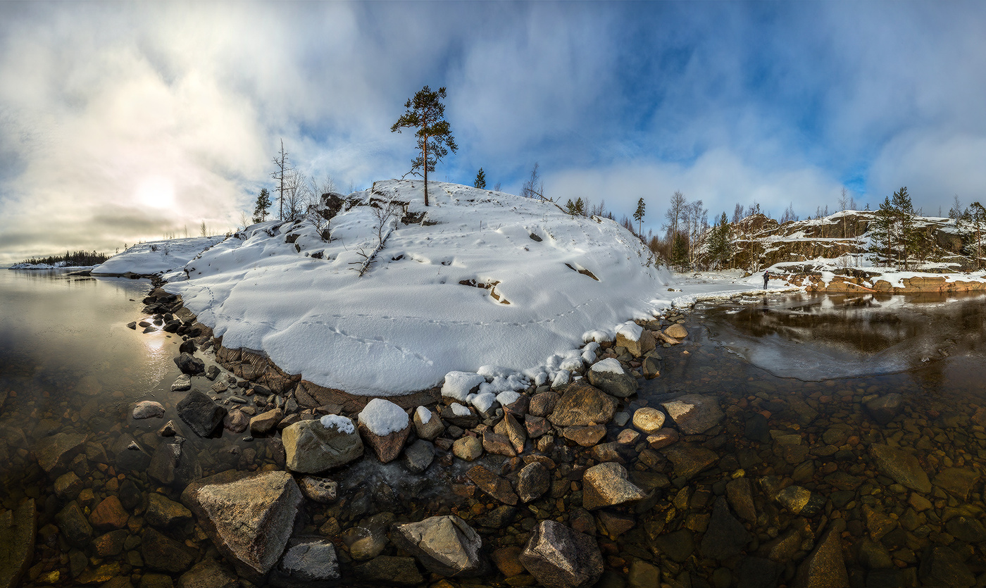 Сосна на берегу.