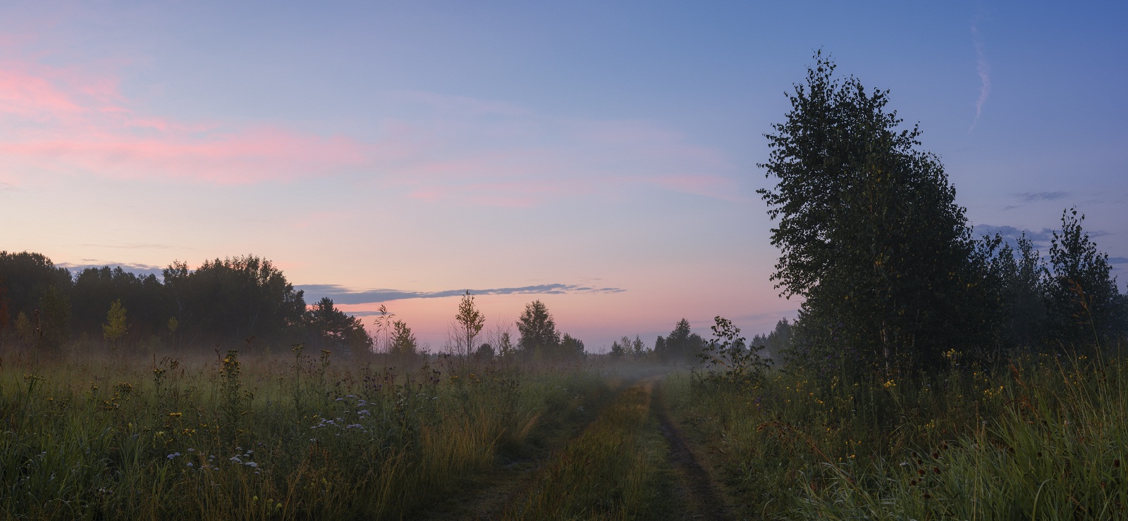 В предрассветной тишине.