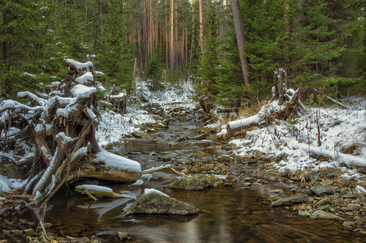 Первый снег