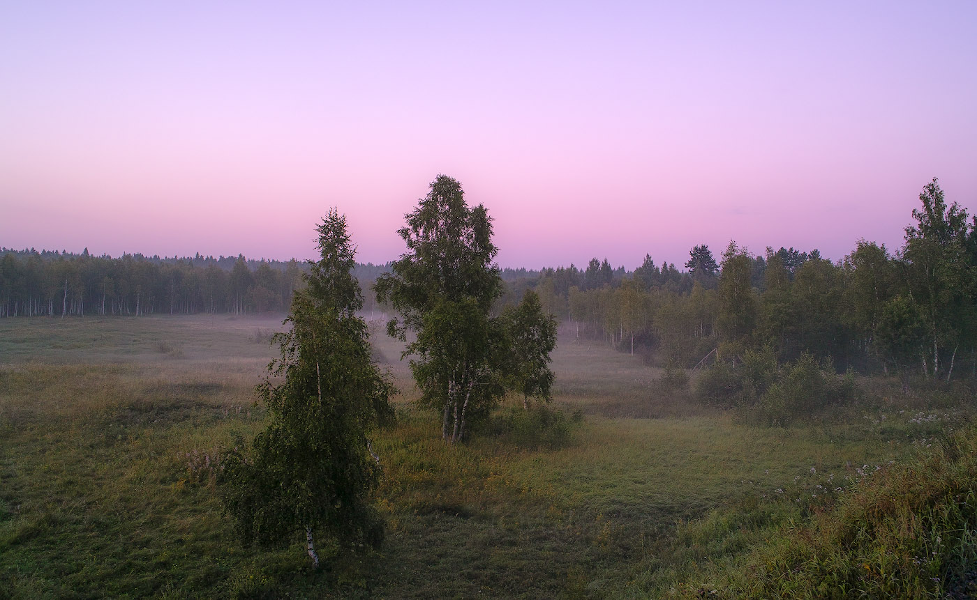 Рассвет,туман