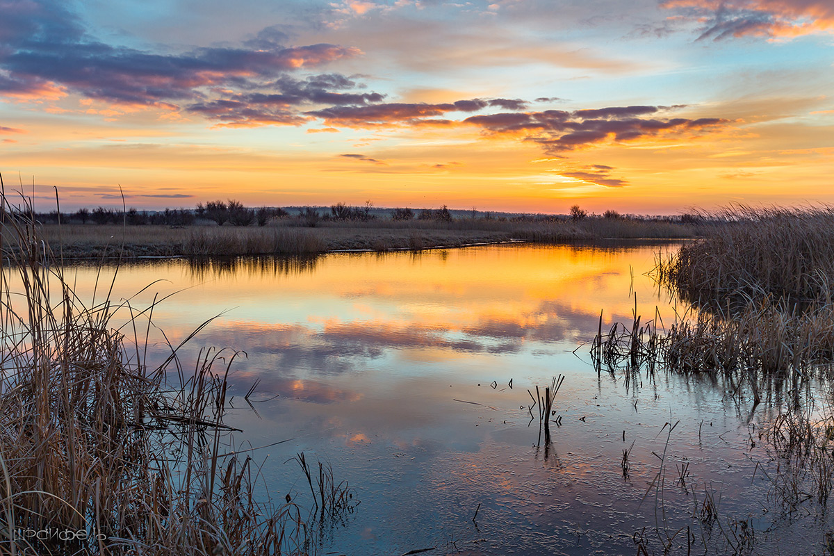 Рассвет в декабре