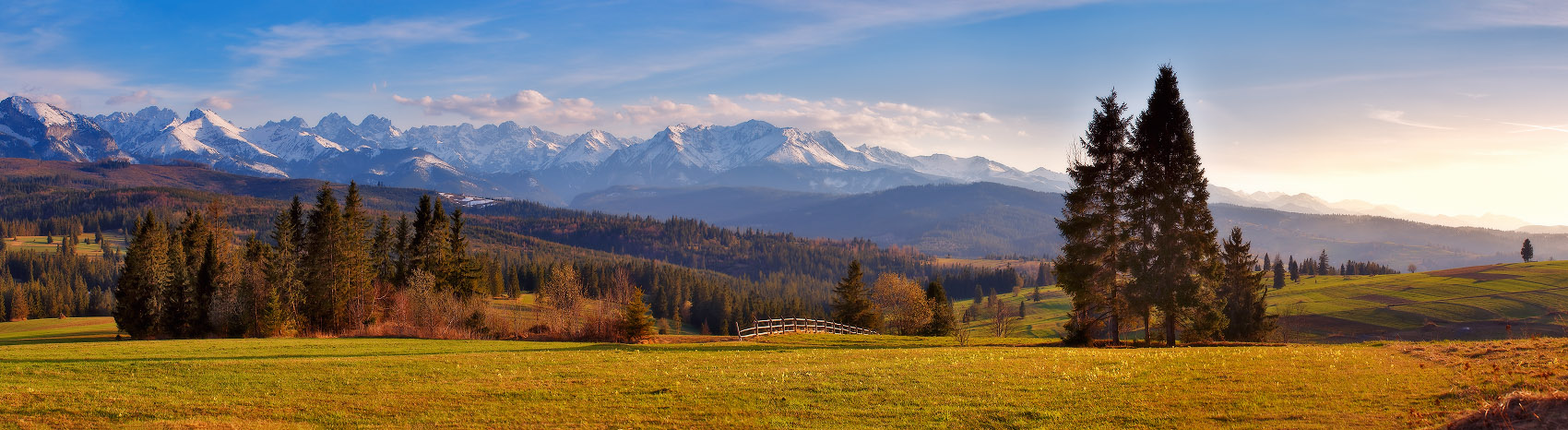 Польская весна