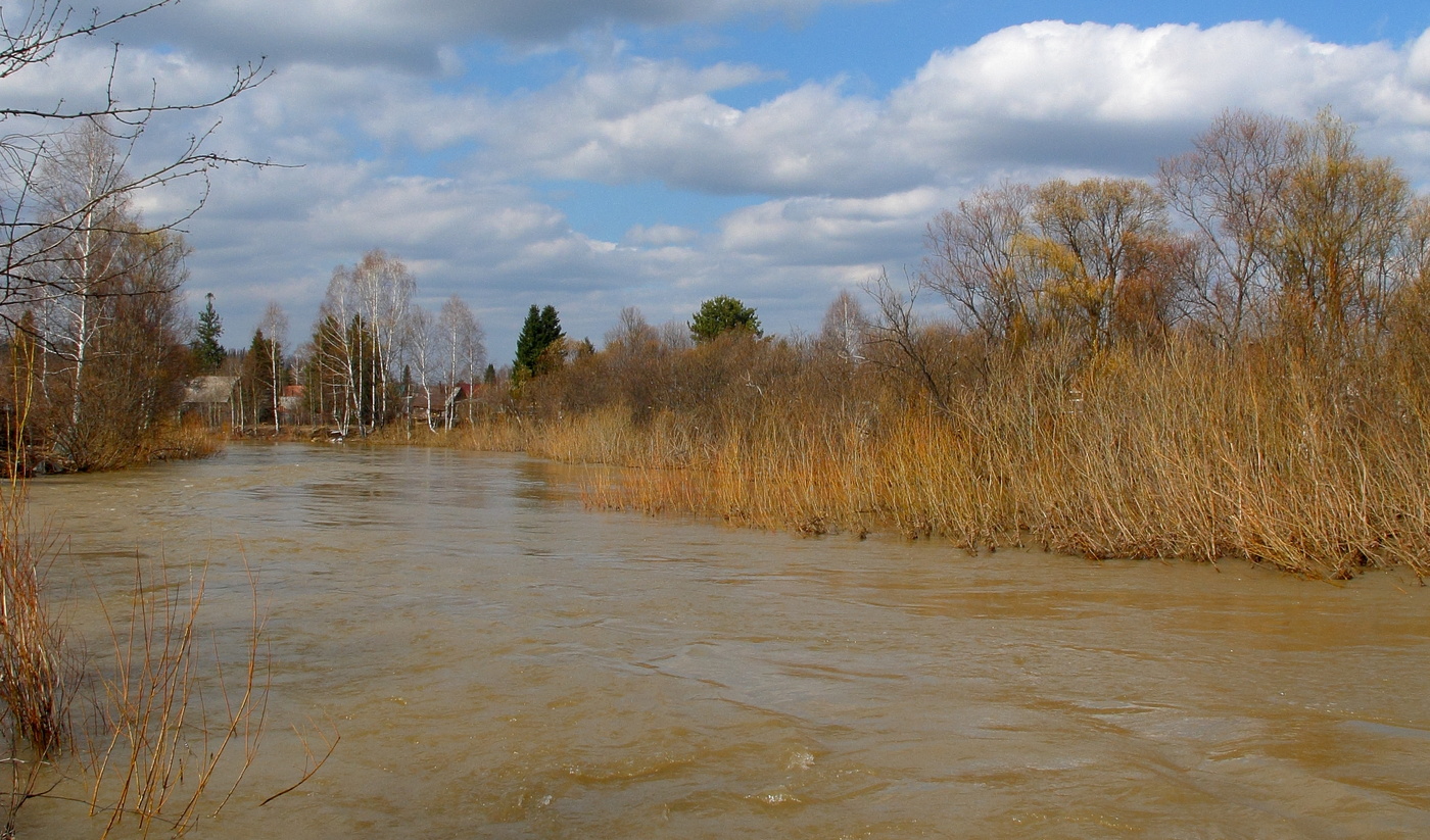 В половодье чувств весенних не боюсь я затонуть…