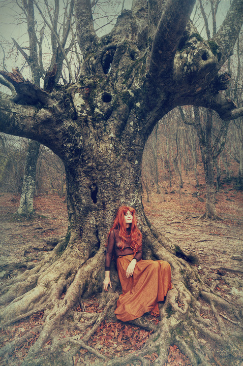 Из жизни одного человека