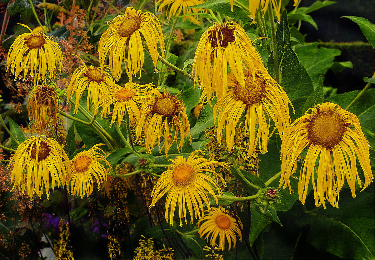 Под розгами дождя...