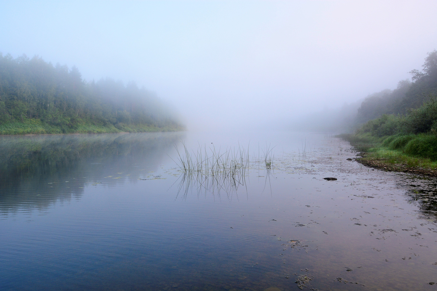 "Повсюду чуткое молчанье ..."