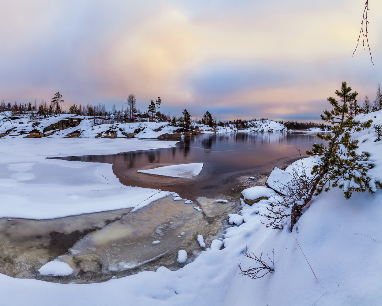 "Сосна у разбитого зеркала"