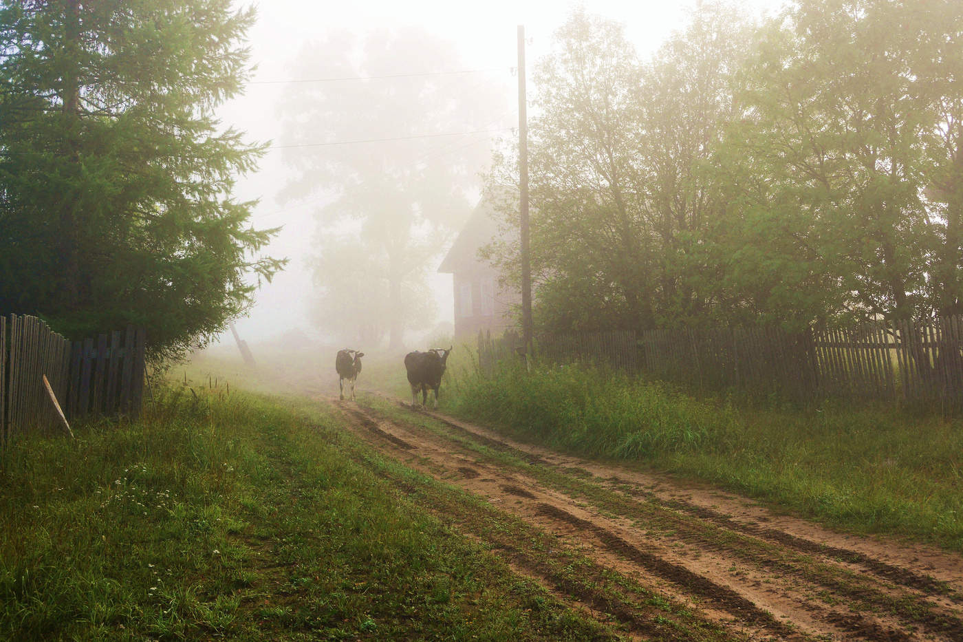 "С полей несется голос стада..."